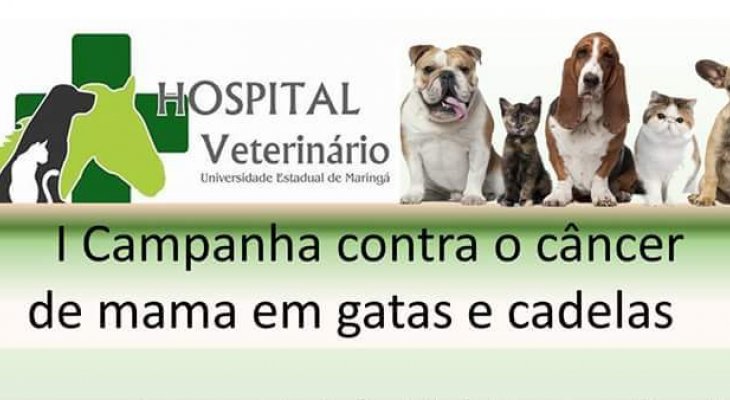 Imagem notícia