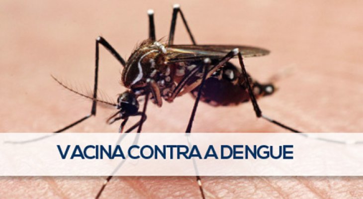 Imagem notícia