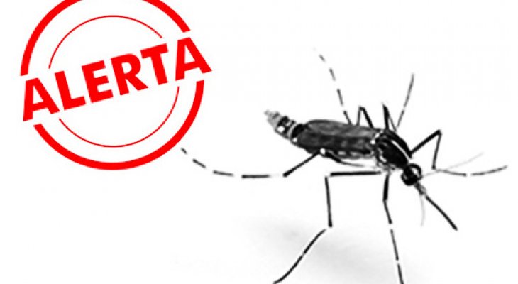 Imagem notícia